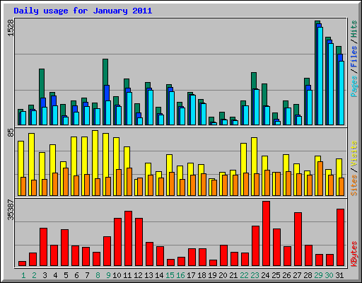Daily usage for January 2011