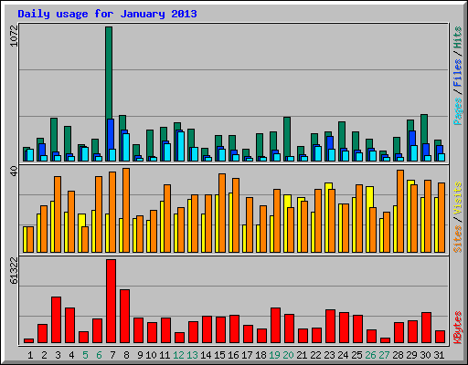 Daily usage for January 2013