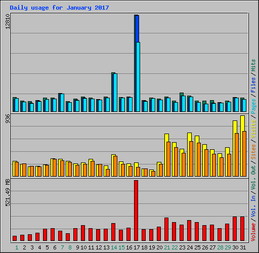 Daily usage for January 2017