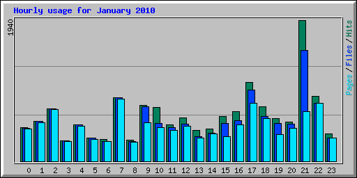 Hourly usage for January 2010