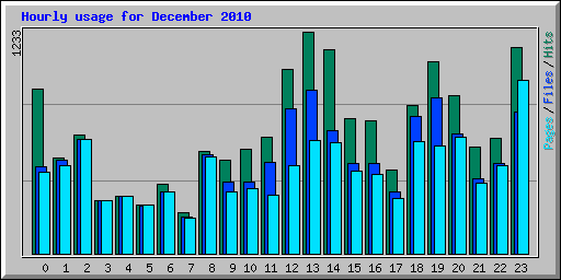 Hourly usage for December 2010