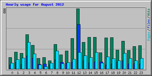 Hourly usage for August 2012