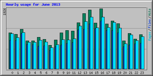 Hourly usage for June 2013