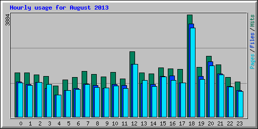Hourly usage for August 2013