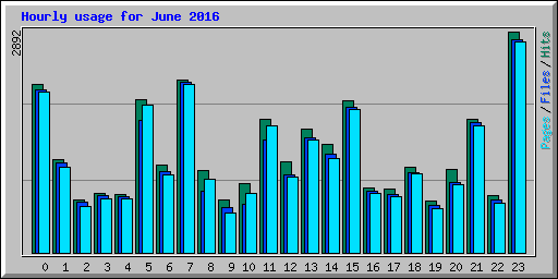 Hourly usage for June 2016