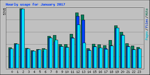 Hourly usage for January 2017