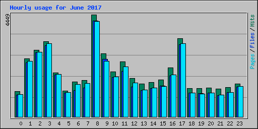 Hourly usage for June 2017