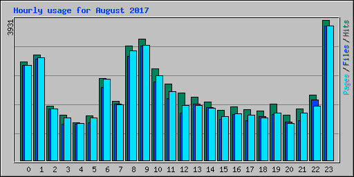 Hourly usage for August 2017