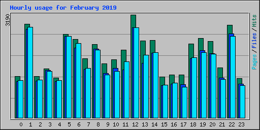 Hourly usage for February 2019